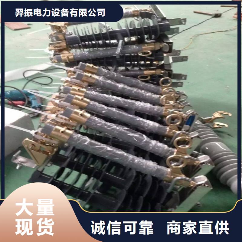 跌落式熔断器RW15-12/100