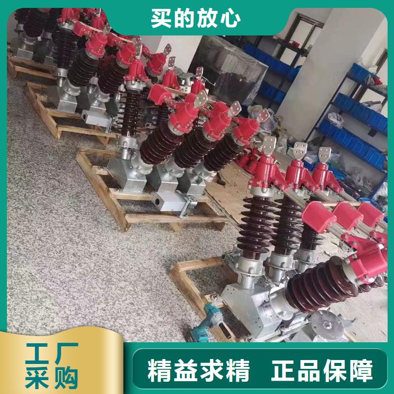 跌落式熔断器RW20-10/200
