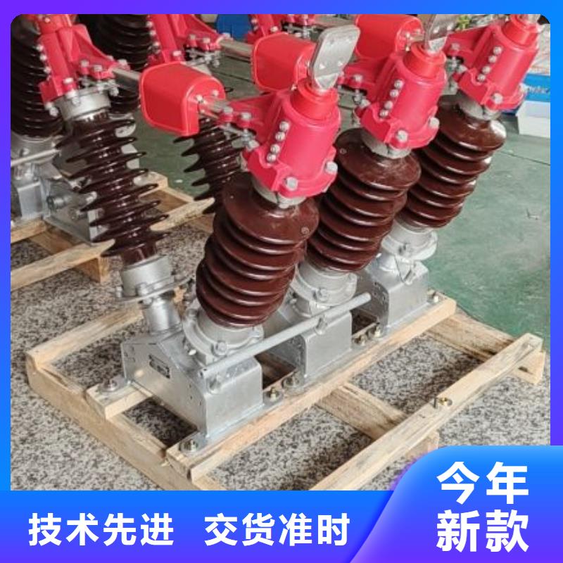 复合支柱绝缘子FZSW3-252/10