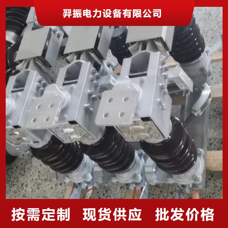ZSW-220/4：支持绝缘子