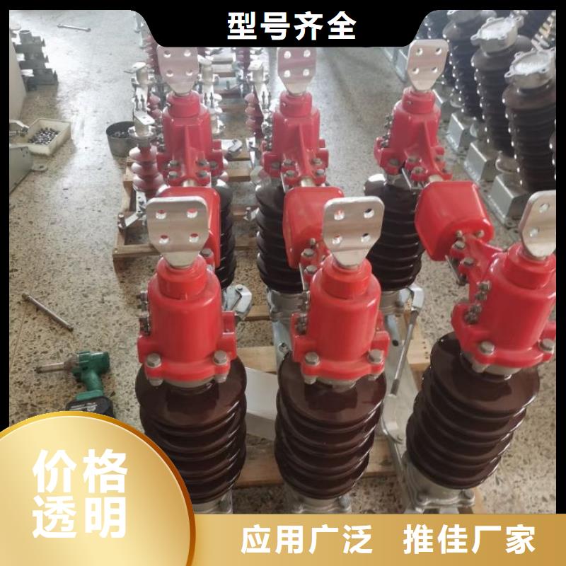 复合支柱绝缘子FZSW3-252/10