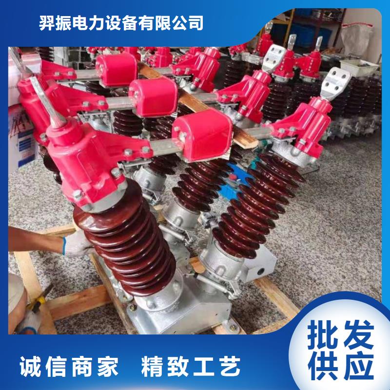 ZSW-220/4：支持绝缘子