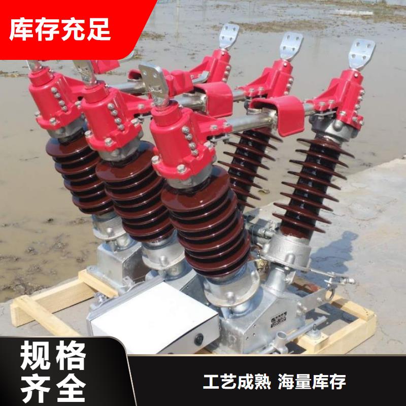 跌落式熔断器PRW10-10/100A