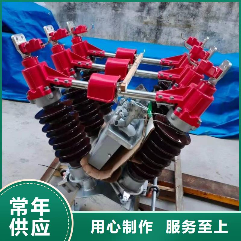 跌落式熔断器PRW10-10/100A