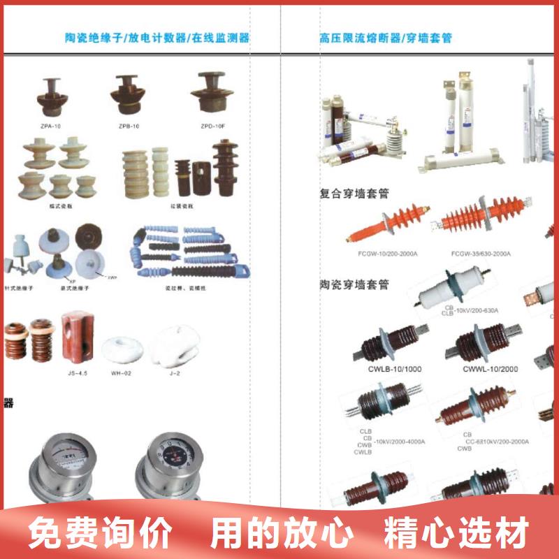 跌落式熔断器PRW10-10/100A