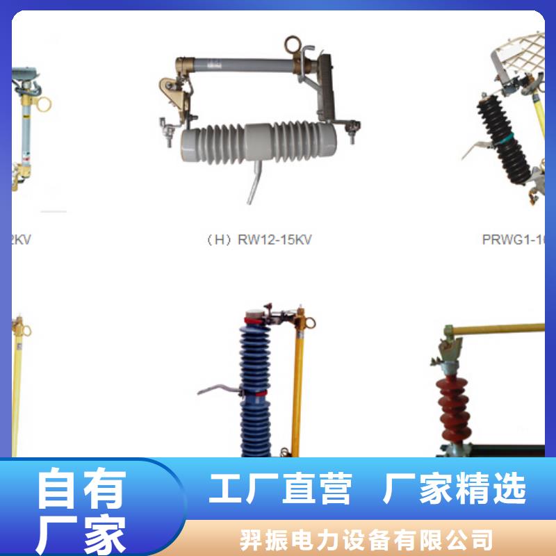 跌落式熔断器PRW10-10/100A