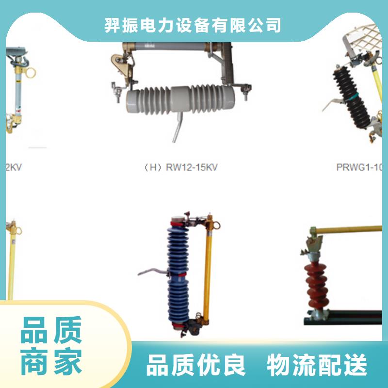 绝缘子ZSW2-40.5/1000-绝缘子ZSW2-63/400
