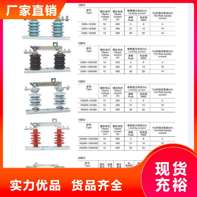 复合支柱绝缘子FZSW3-252/10