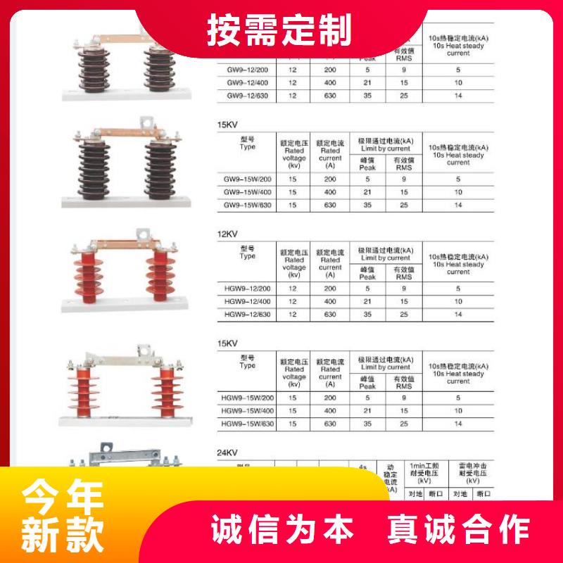跌落式熔断器PRW12-15KV/100A