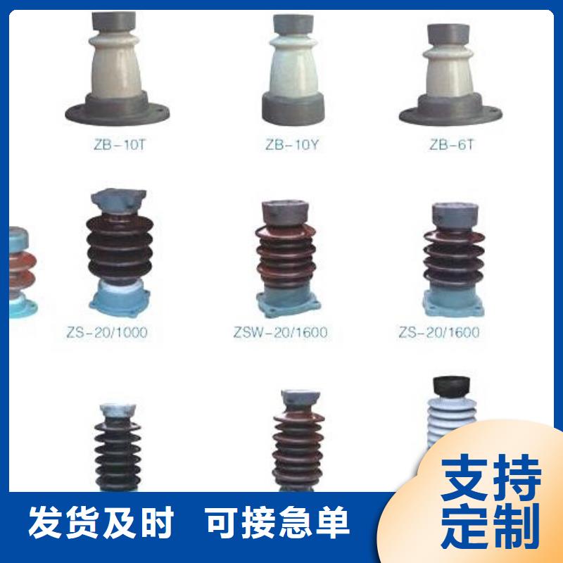 跌落式熔断器RW20-10/200
