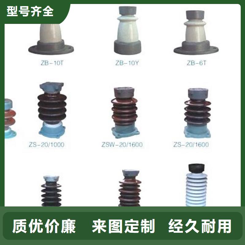 【绝缘子】ZSW-220/850_支持绝缘子