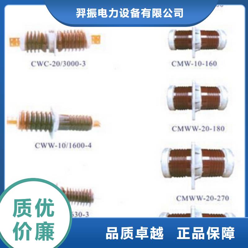 跌落式熔断器RW20-10/200