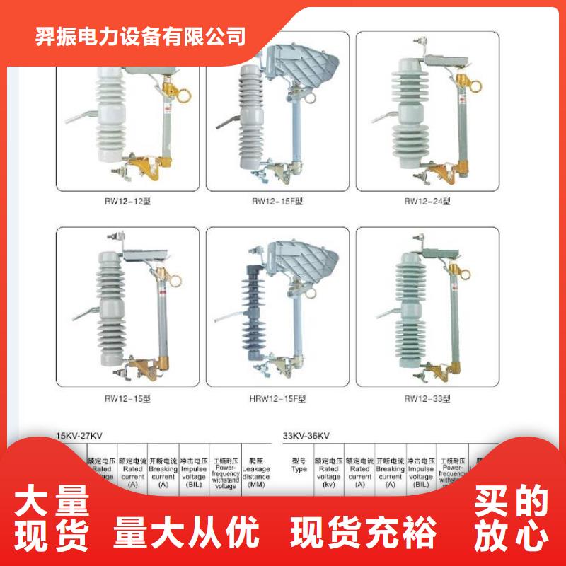 跌落式熔断器RW20-10/200