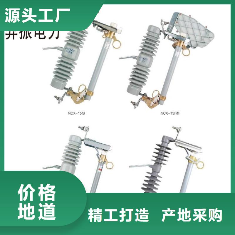 跌落式熔断器PRW12-15KV/100A