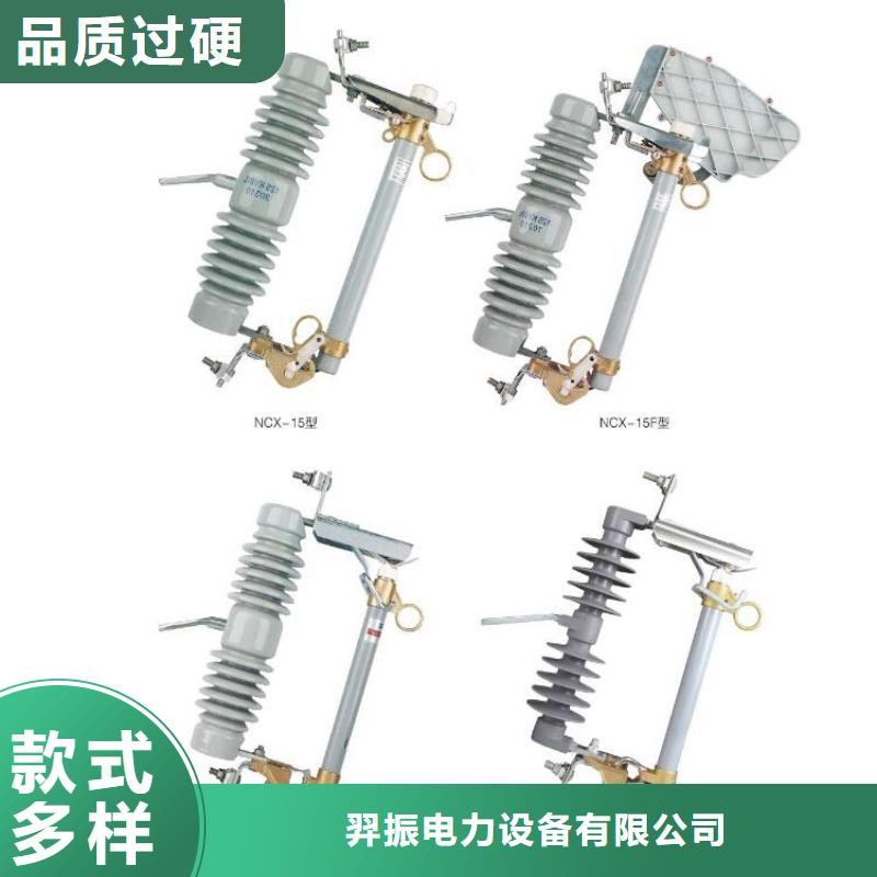 跌落式熔断器PRW12-10F/100A