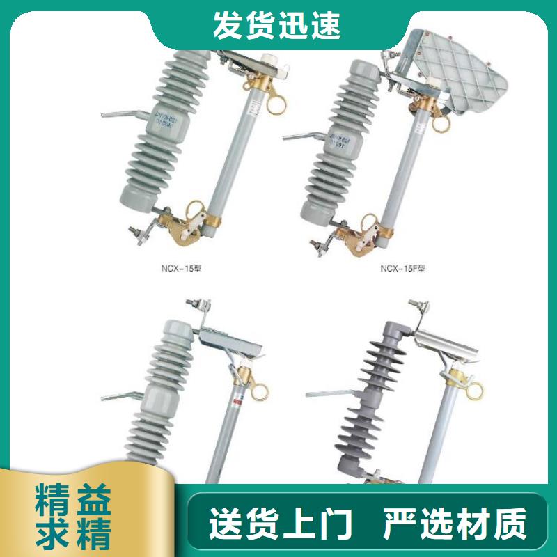 FZ-60阀式避雷器