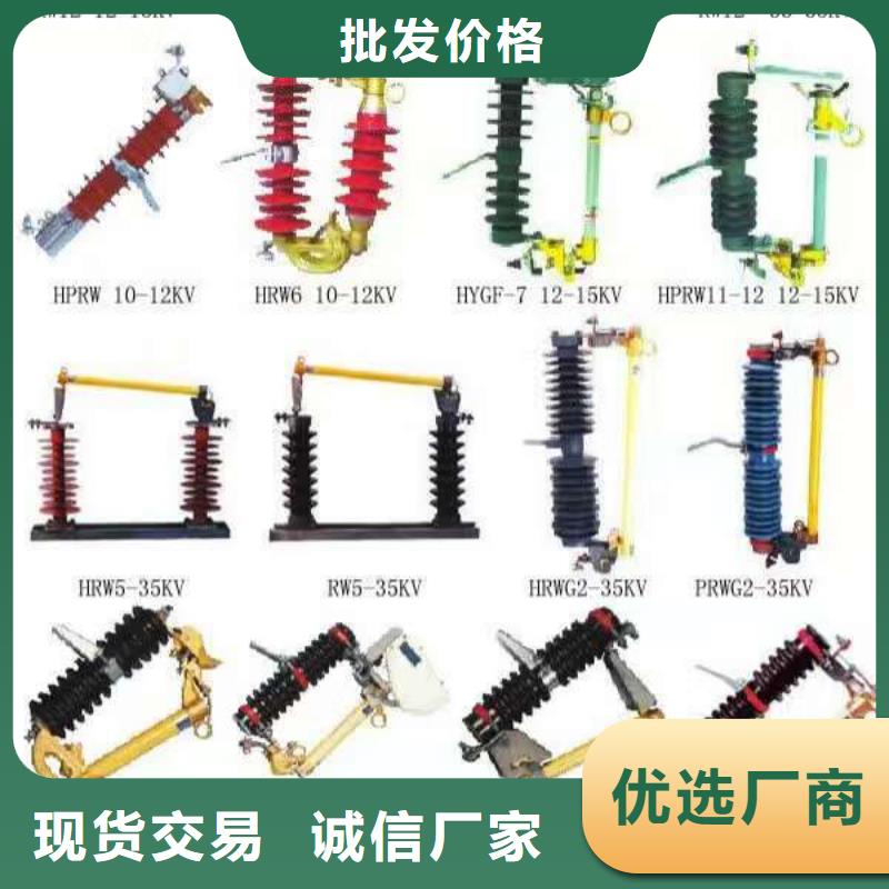跌落式熔断器PRW10-10/100A
