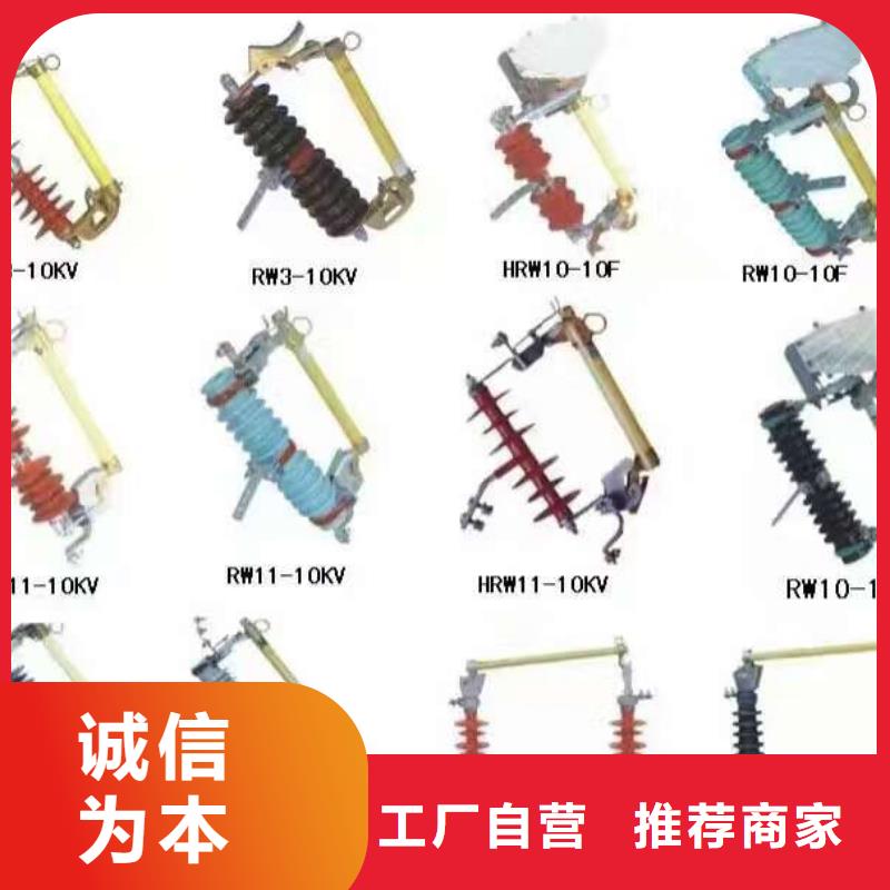 跌落式熔断器PRW10-10/100A