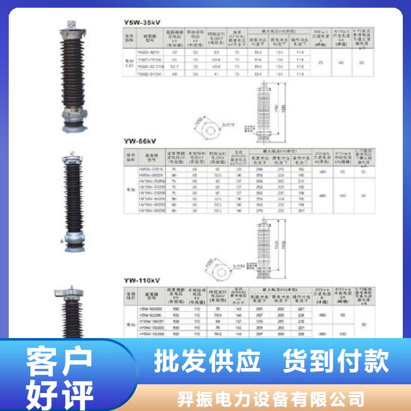 跌落式熔断器PRW10-10/100A