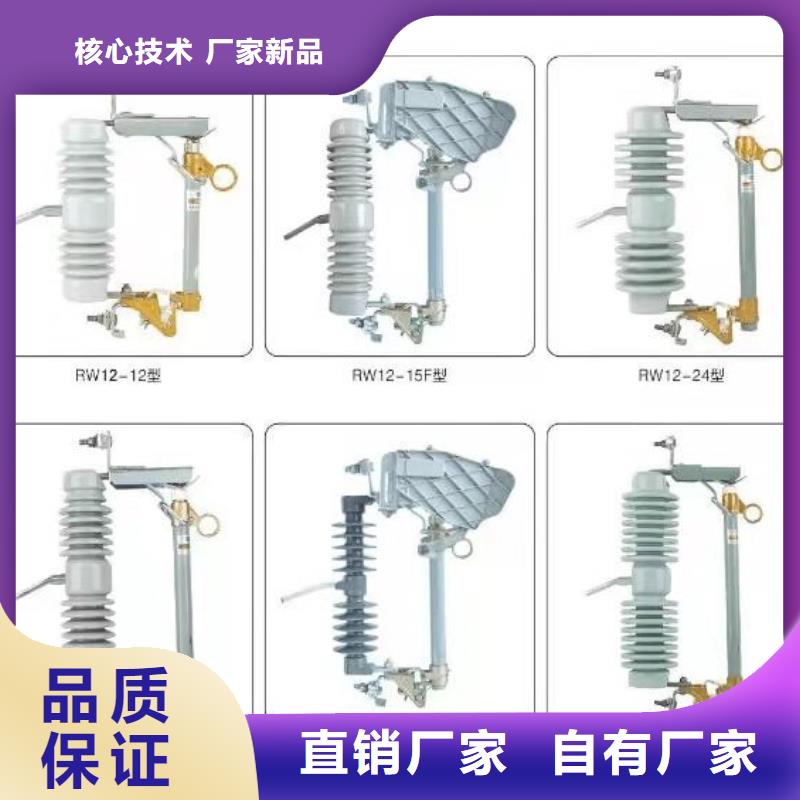 跌落式熔断器PRW10-10/100A