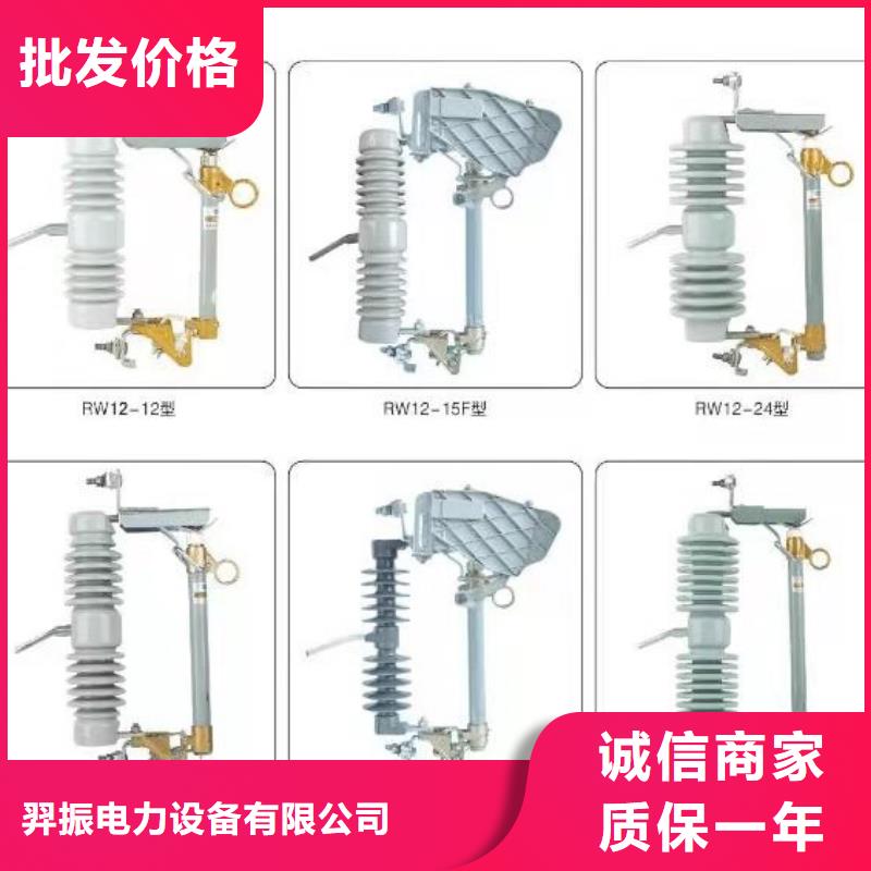 绝缘子ZSW2-40.5/1000-绝缘子ZSW2-63/400
