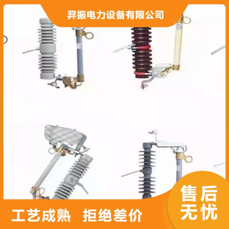 跌落式熔断器PRW10-10/100A