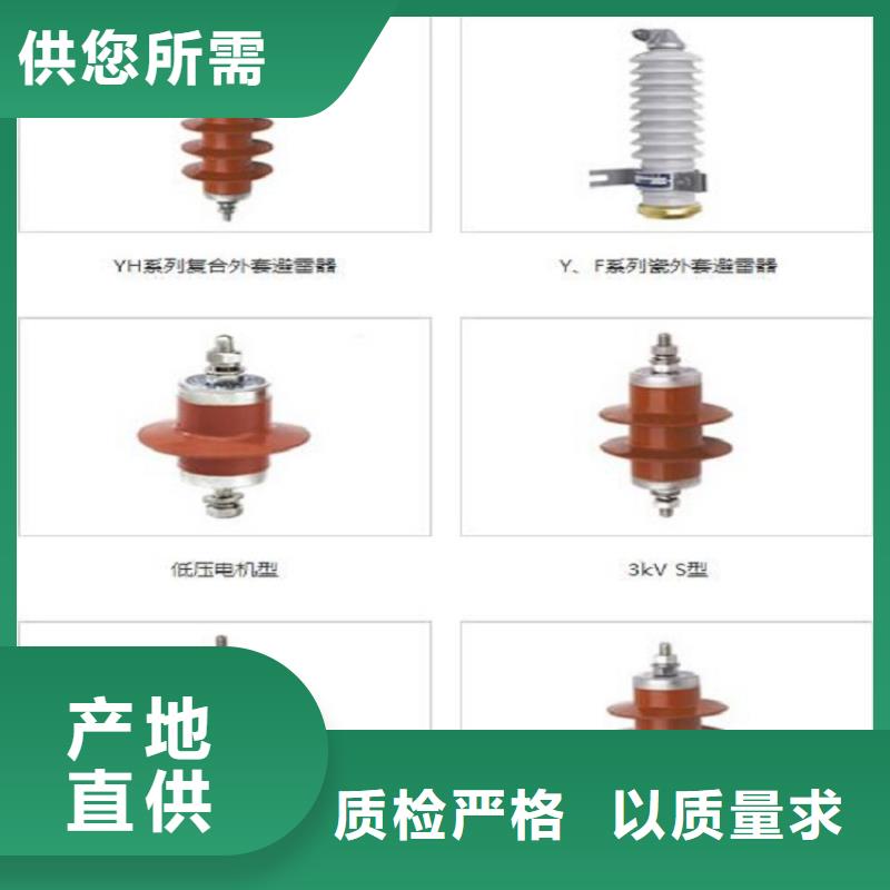 【羿振电力】避雷器Y10W1-100/260W