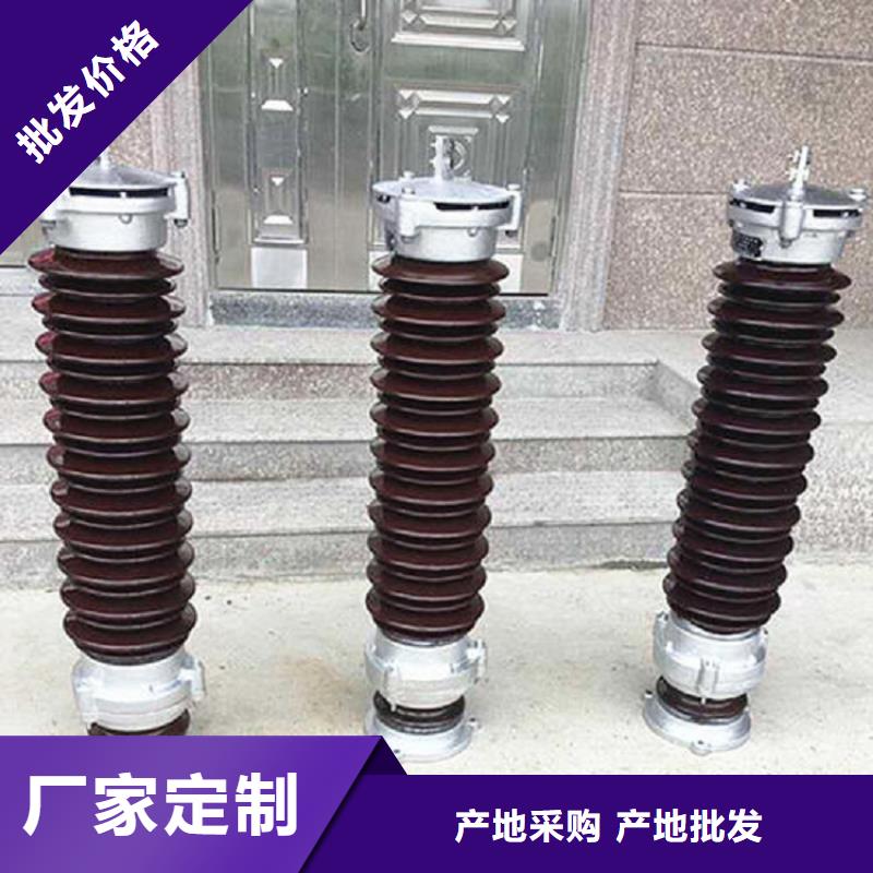 【羿振电力】避雷器Y10W1-100/260W