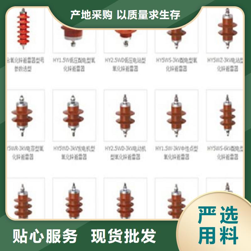 _避雷器YH10W5-108/281GY【羿振电力设备】