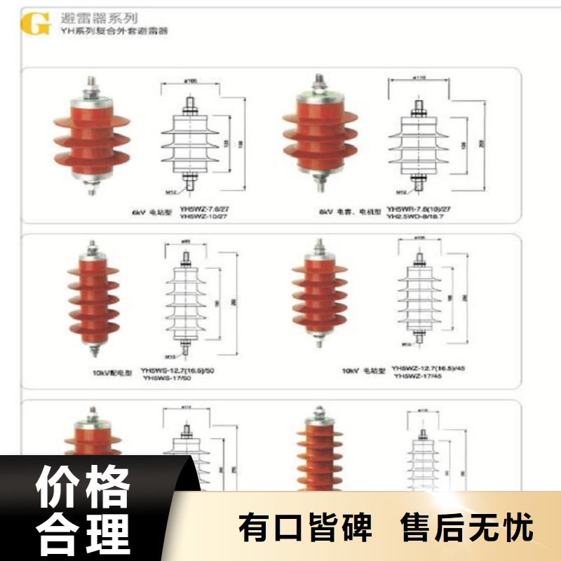 【羿振电力】避雷器Y10W1-100/260W