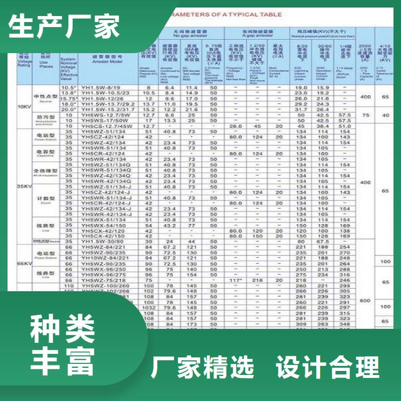 【羿振电力】避雷器Y10W1-100/260W