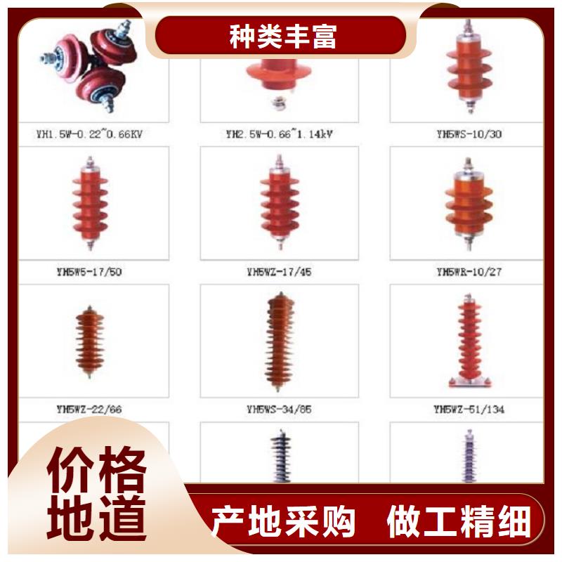 避雷器Y5WS1-17/50【羿振电力】