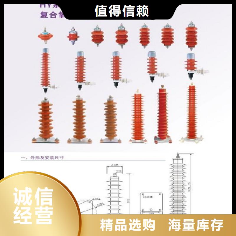【羿振电力】避雷器YH5WZ1-26/66