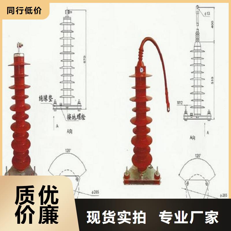 【羿振电力】避雷器YH5WZ1-26/66