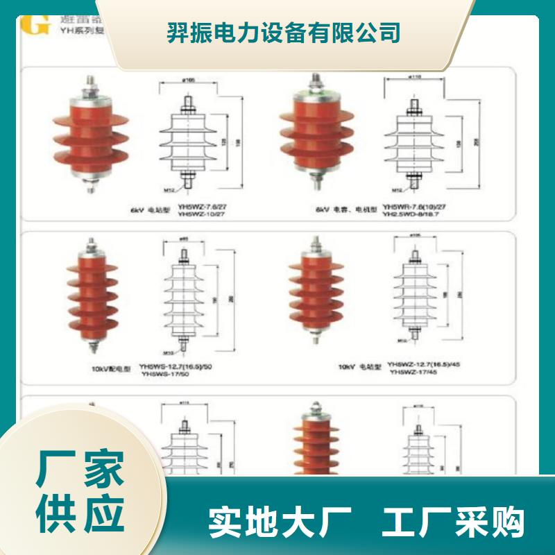 【羿振电力】避雷器Y10W1-100/260W