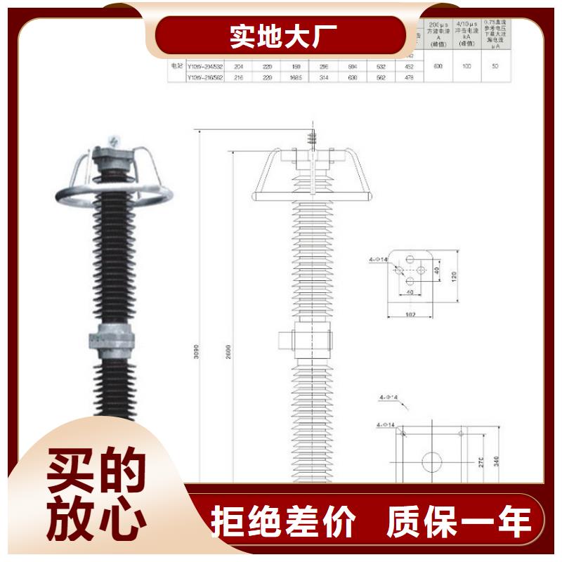 避雷器Y5WS1-17/50【羿振电力】