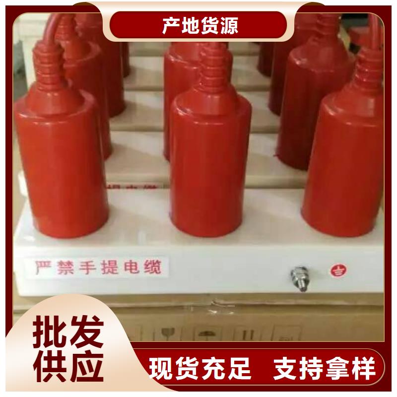 【过电压保护器】TBP-A-42/200