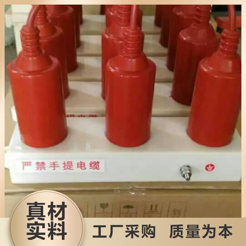 〖过电压保护器〗TBP-B-35/630W2欢迎咨询
