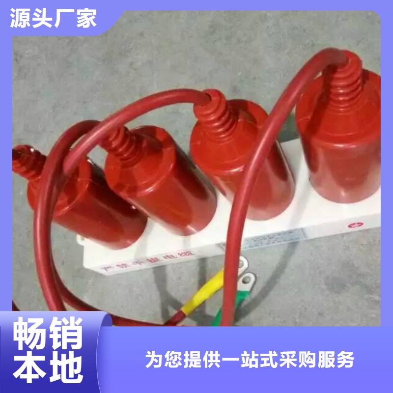 【羿振电气】过电压保护器TBP-C-6.3/131
