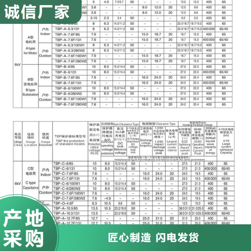 【羿振电气】过电压保护器TBP-B-42/310