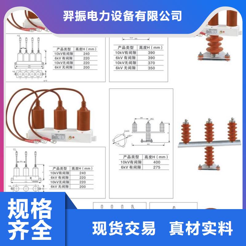 【过电压保护器】TBP-A-35/200