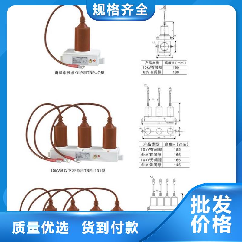 【过电压保护器】TBP-A-35/200