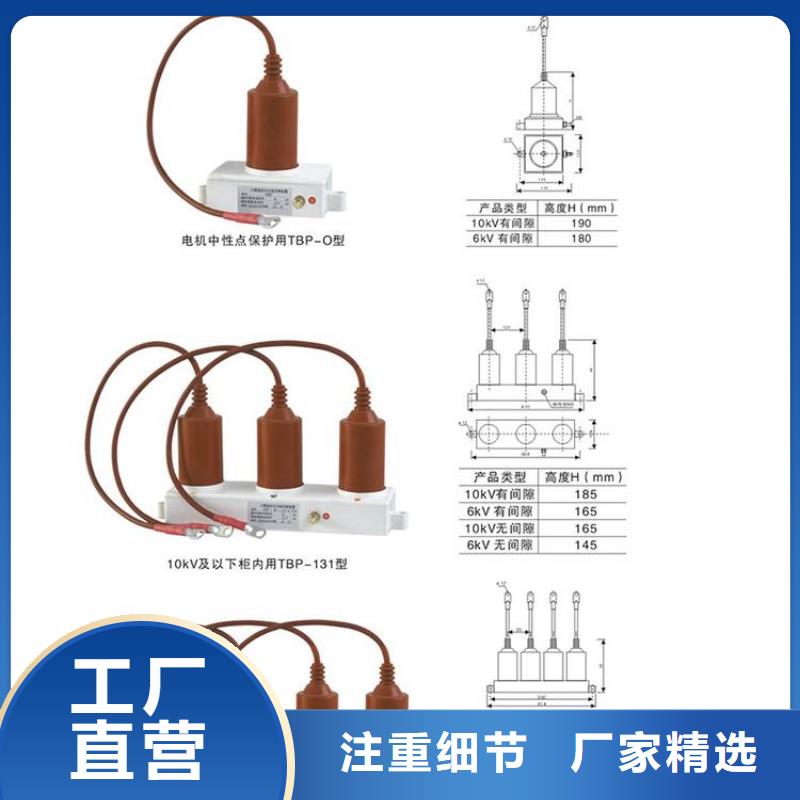 保护器(组合式避雷器)BSTG-B-6.3
