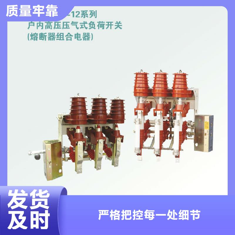 高压负荷开关FZRN40-12D/T125_