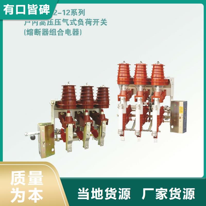 高压负荷开关FZRN40-12D/T125_
