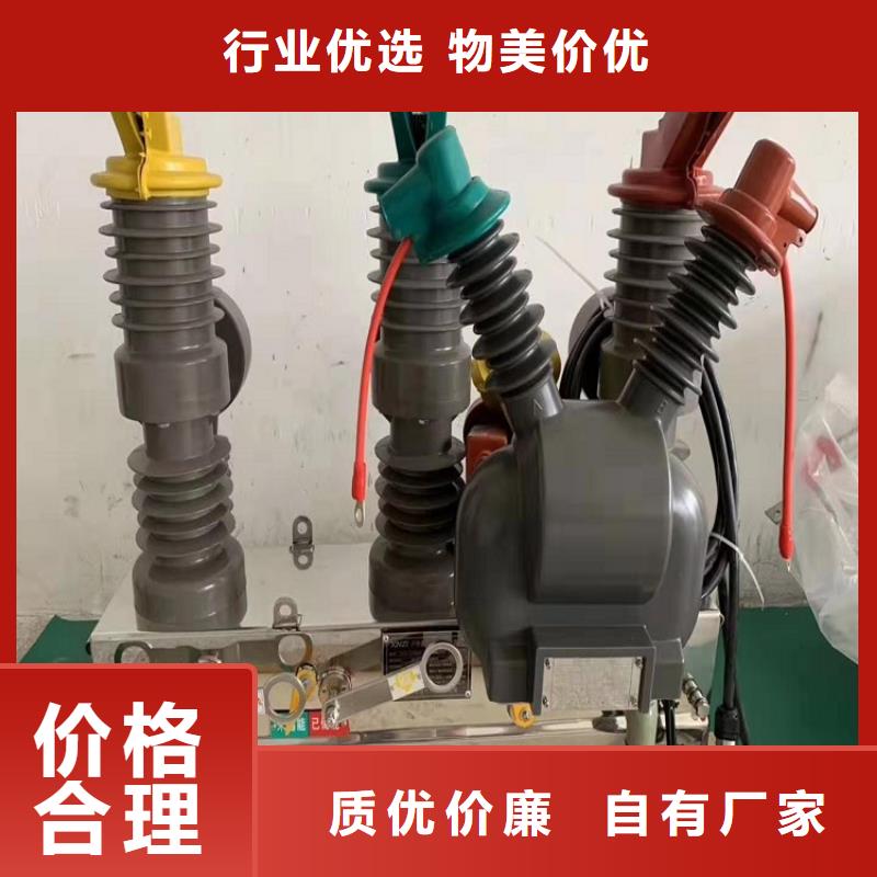 【真空断路器】ZW32-12G/630A