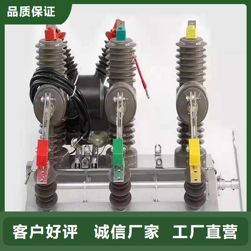【真空断路器】ZW32-12G/630A