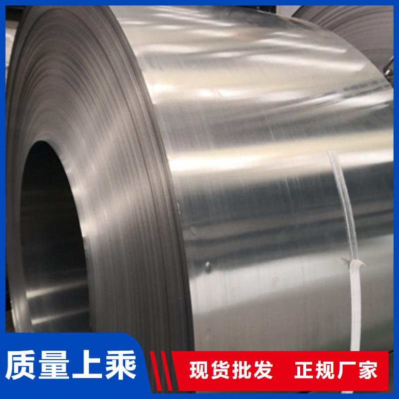 新能源硅钢电工钢	B30A250