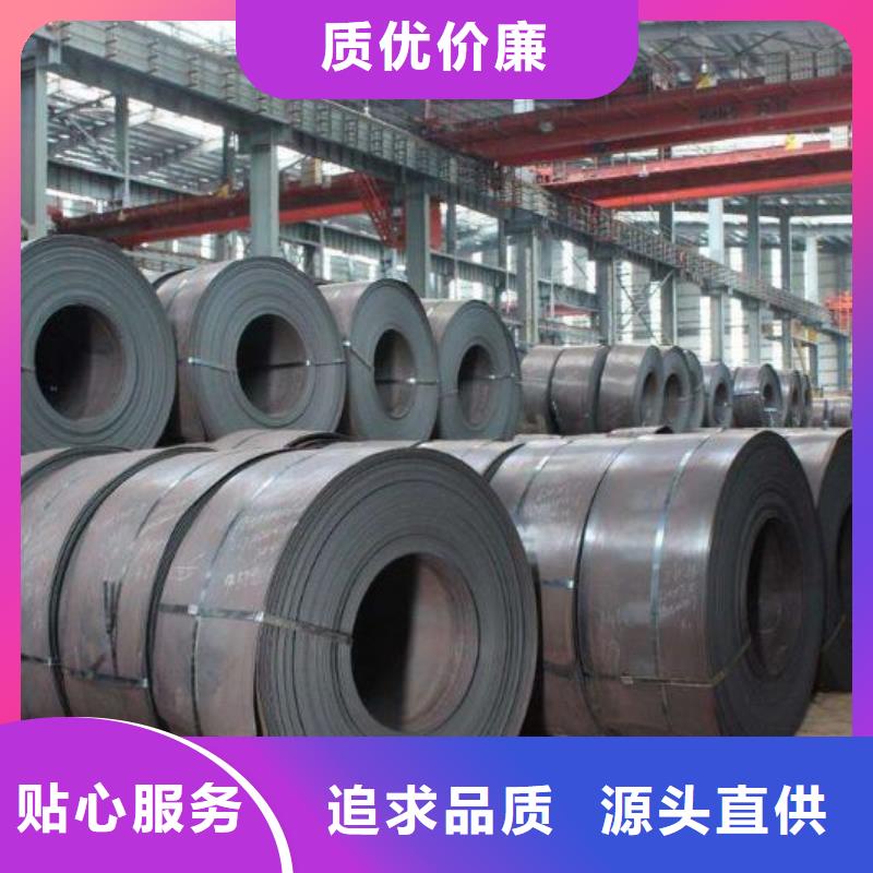 取向电工钢带	0.3	30RK100来图定制