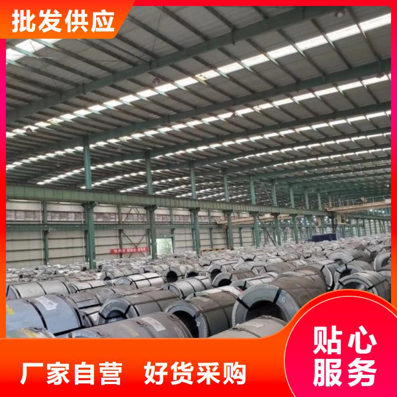 B65A700-Z硅钢自粘涂层卷